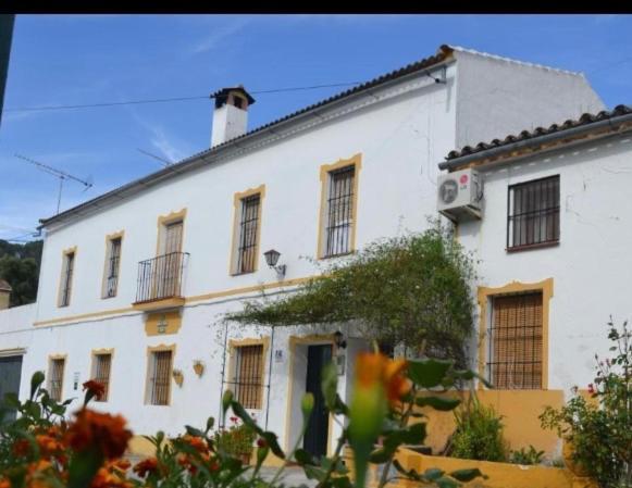 Alto De Torrecillas 埃尔博斯克 外观 照片